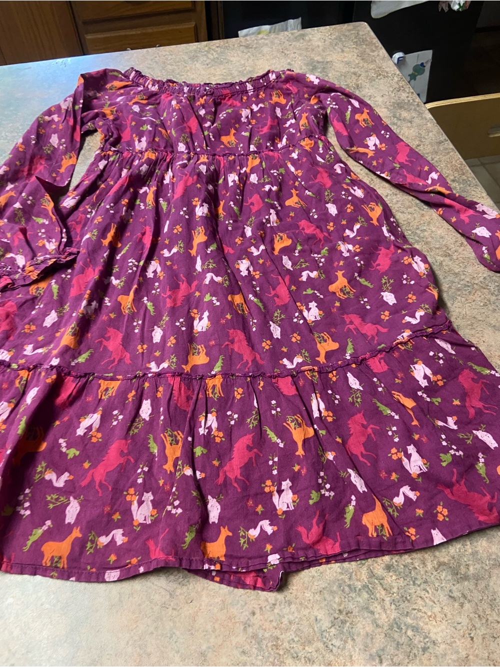 Girls Dress Lot (Lands’ End and The Children’s Place) - Picture 7 of 11